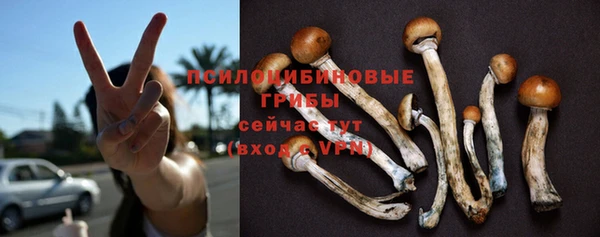 соль ск Белоозёрский