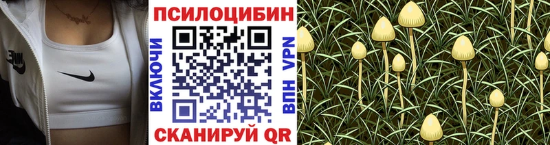 Псилоцибиновые грибы MAGIC MUSHROOMS  mega рабочий сайт  Черняховск 