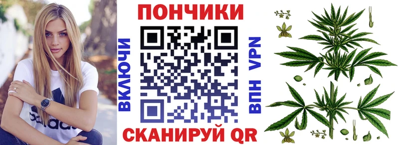 кракен tor  это какой сайт  Шишки марихуана ГИДРОПОН  Черняховск 